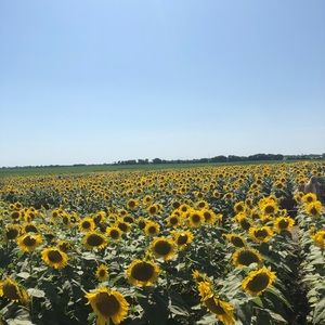 Meet your Posher, Mariah